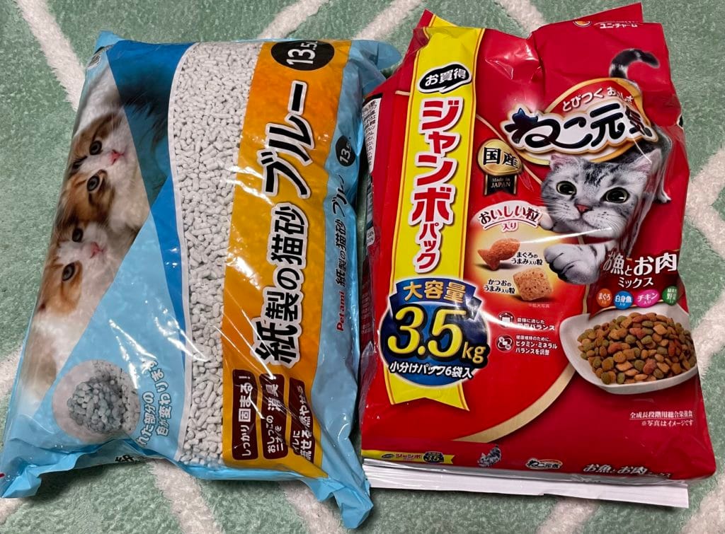 地域猫　TNR 福岡県　大牟田市　保護猫　仔猫　荒尾市　みやま市　柳川市　南関町　長洲町　玉名郡　食事　フード　ご支援　ご寄付