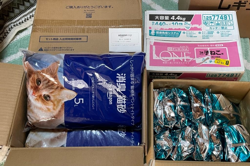 地域猫　TNR 福岡県　大牟田市　保護猫　仔猫　荒尾市　みやま市　柳川市　南関町　長洲町　玉名郡　食事　フード　ご支援　ご寄付