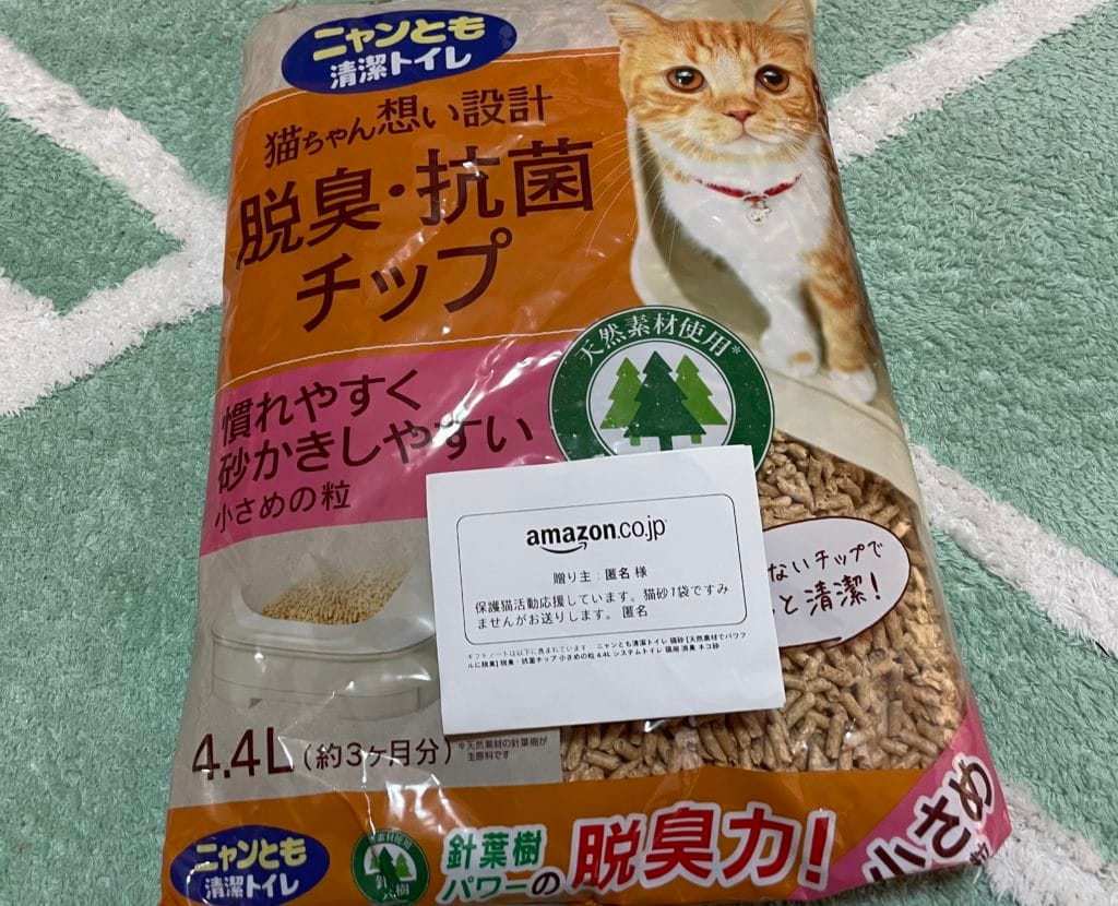 地域猫　TNR 福岡県　大牟田市　保護猫　仔猫　荒尾市　みやま市　柳川市　南関町　長洲町　玉名郡　食事　フード　ご支援　ご寄付