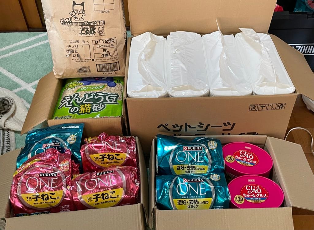 地域猫　TNR 福岡県　大牟田市　保護猫　仔猫　荒尾市　みやま市　柳川市　南関町　長洲町　玉名郡　食事　フード　ご支援　ご寄付