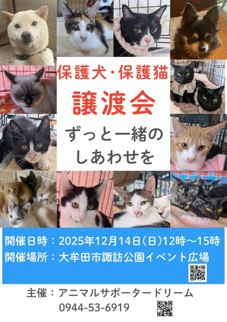 保護猫 保護犬 譲渡会 福岡県 大牟田市 里親募集中 車検のコバック 大牟田三川店 仲野装業 みやま市 柳川市 熊本県 荒尾市 玉名市 南関町 長洲町 CAMPFIRE
