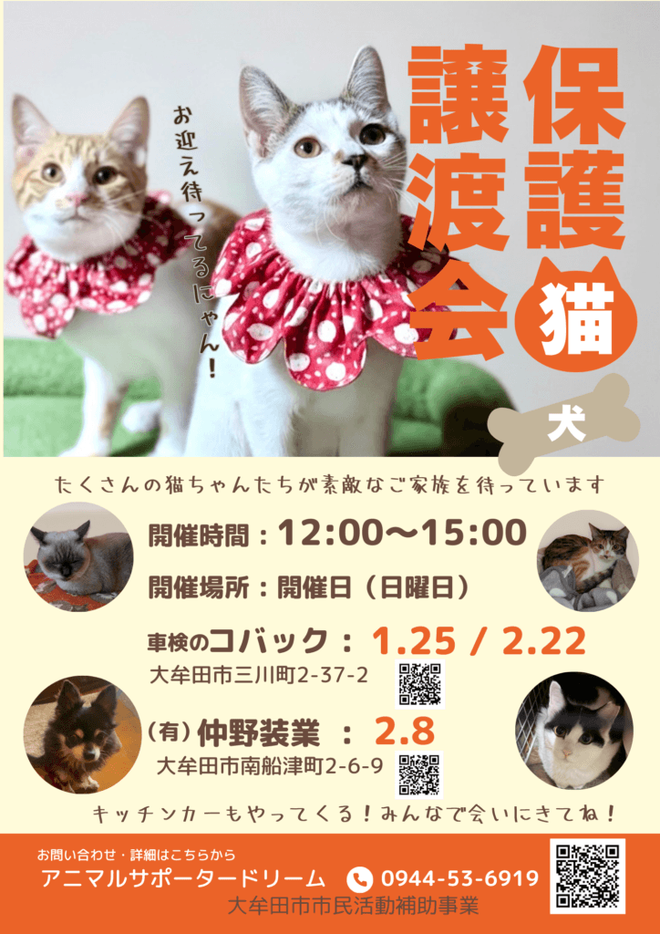 保護猫 保護犬 譲渡会 福岡県 大牟田市 里親募集中 車検のコバック 大牟田三川店 仲野装業 みやま市 柳川市 熊本県 荒尾市 玉名市 南関町 長洲町