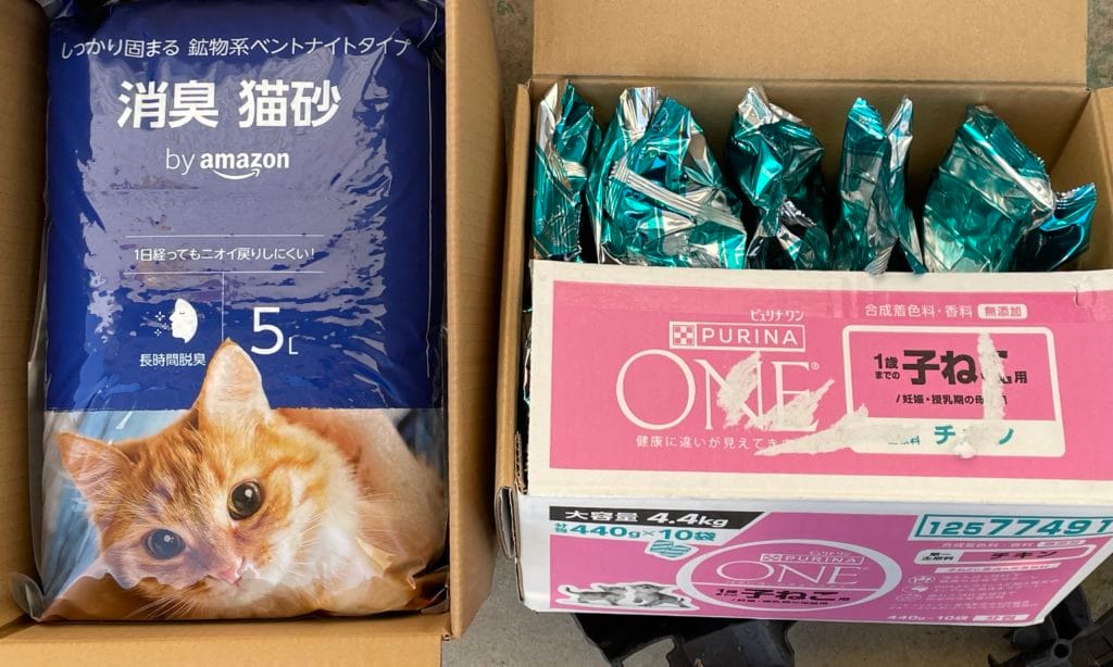 地域猫　TNR 福岡県　大牟田市　保護猫　仔猫　荒尾市　みやま市　柳川市　南関町　長洲町　玉名郡　食事　フード　ご支援　ご寄付