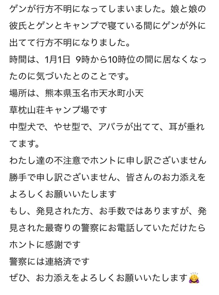熊本県 玉名市 草枕山荘キャンプ場 迷子犬 ゲン 保健所 中型犬