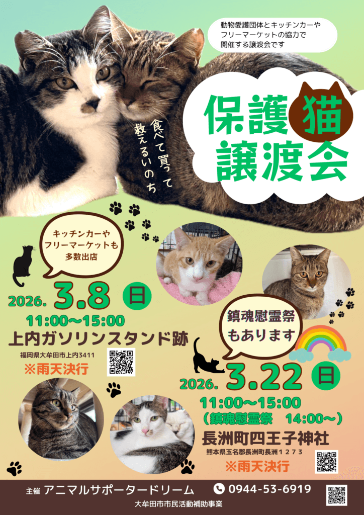 保護猫　保護犬　譲渡会　福岡県　大牟田市 里親募集中　上内ガソリンスタンド　長洲　四王子神社　みやま市 柳川市 熊本県 荒尾市 玉名市 南関町 長洲町