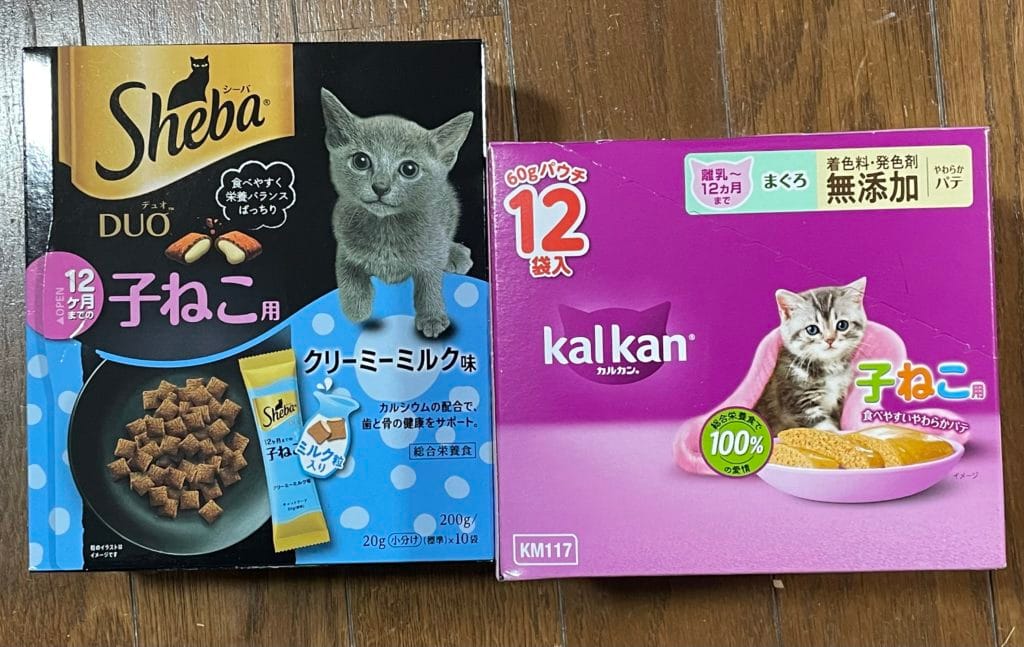 地域猫　TNR 福岡県　大牟田市　保護猫　仔猫　荒尾市　みやま市　柳川市　南関町　長洲町　玉名郡　食事　フード　ご支援　ご寄付