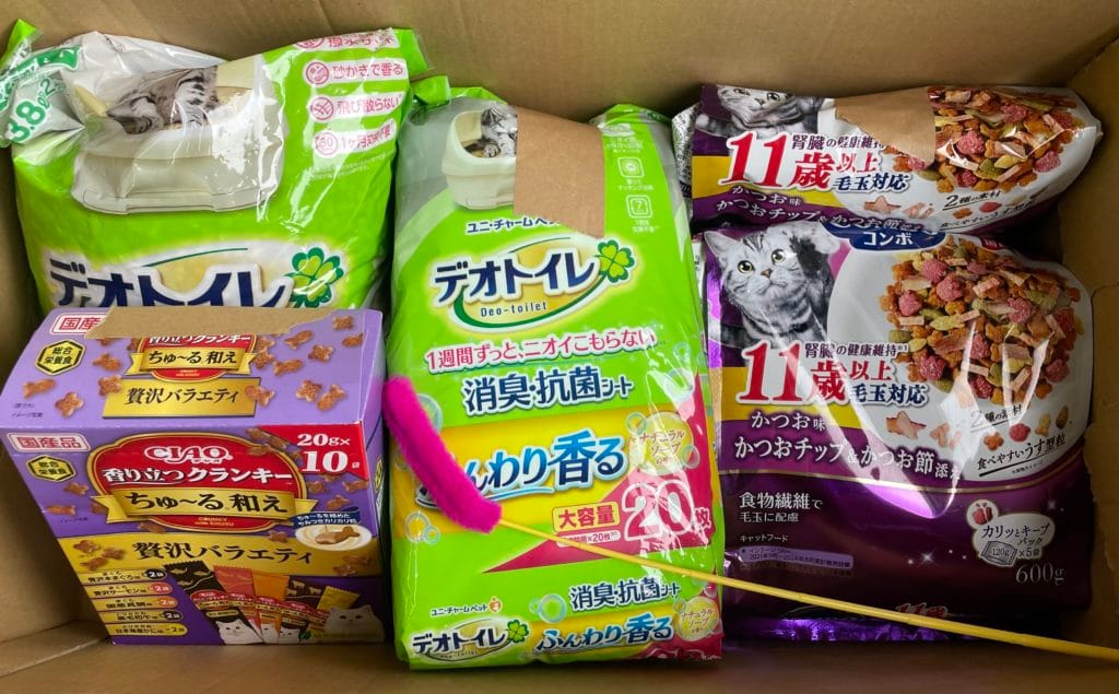 地域猫 TNR 福岡県 大牟田市 保護猫 仔猫 荒尾市 みやま市 柳川市 南関町 長洲町 玉名郡 食事 フード ご支援 ご寄付