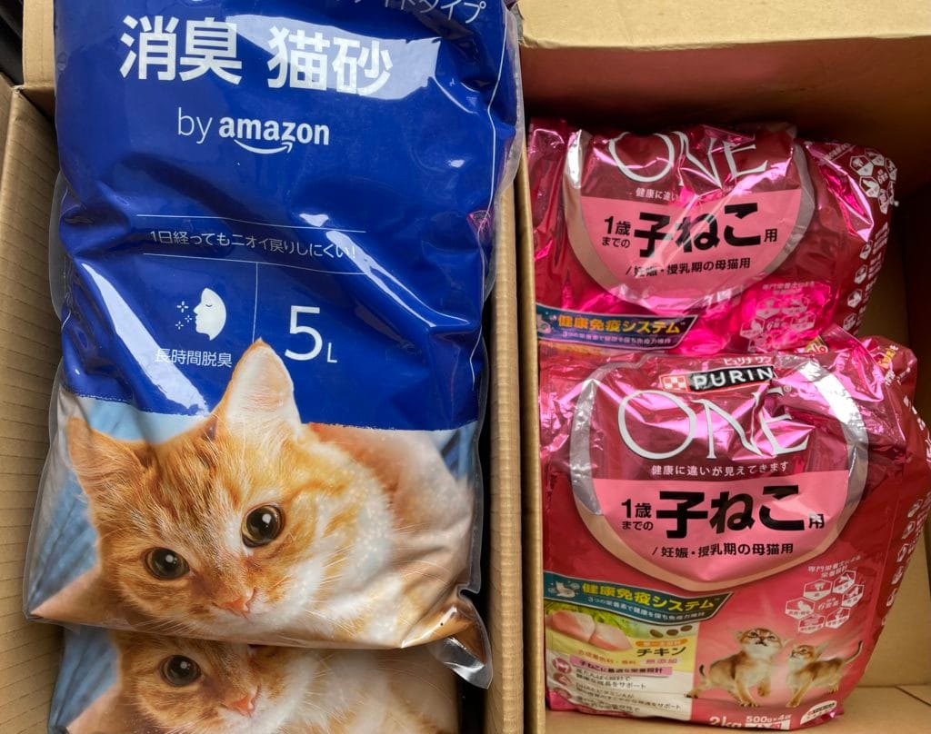 地域猫 TNR 福岡県 大牟田市 保護猫 仔猫 荒尾市 みやま市 柳川市 南関町 長洲町 玉名郡 食事 フード ご支援 ご寄付