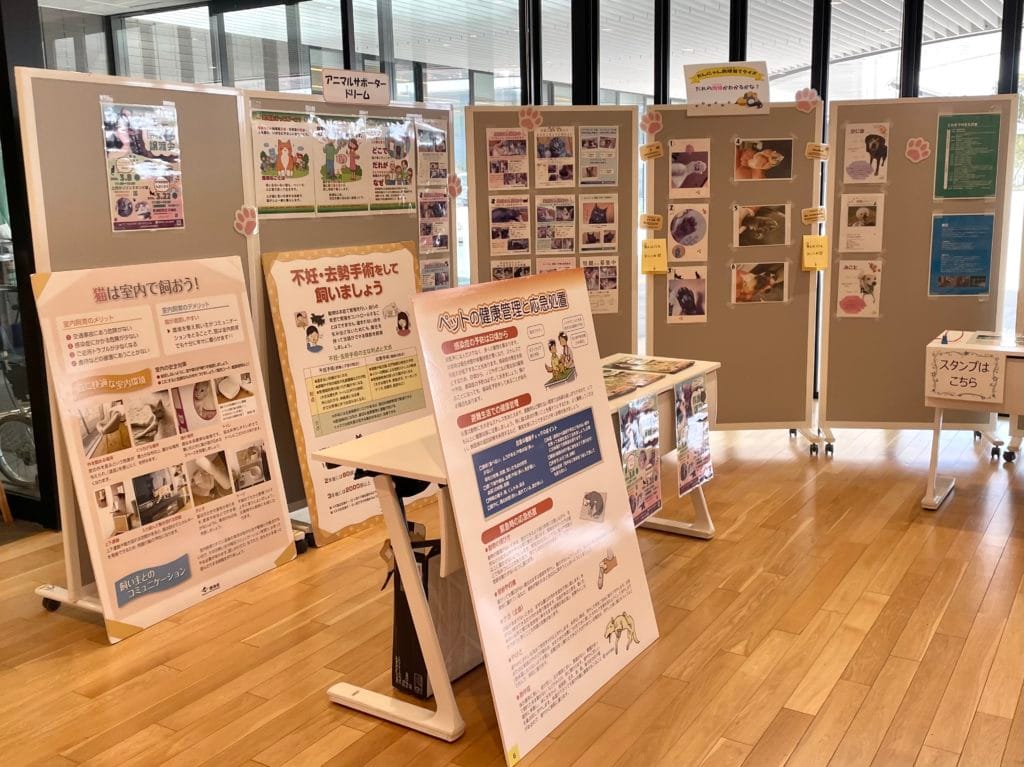 保護猫 保護犬 譲渡会 福岡県 大牟田市 里親募集中 9回ワンヘルス楽校 みやま市 柳川市 熊本県 荒尾市 玉名市 南関町 長洲町 ミヤマックス