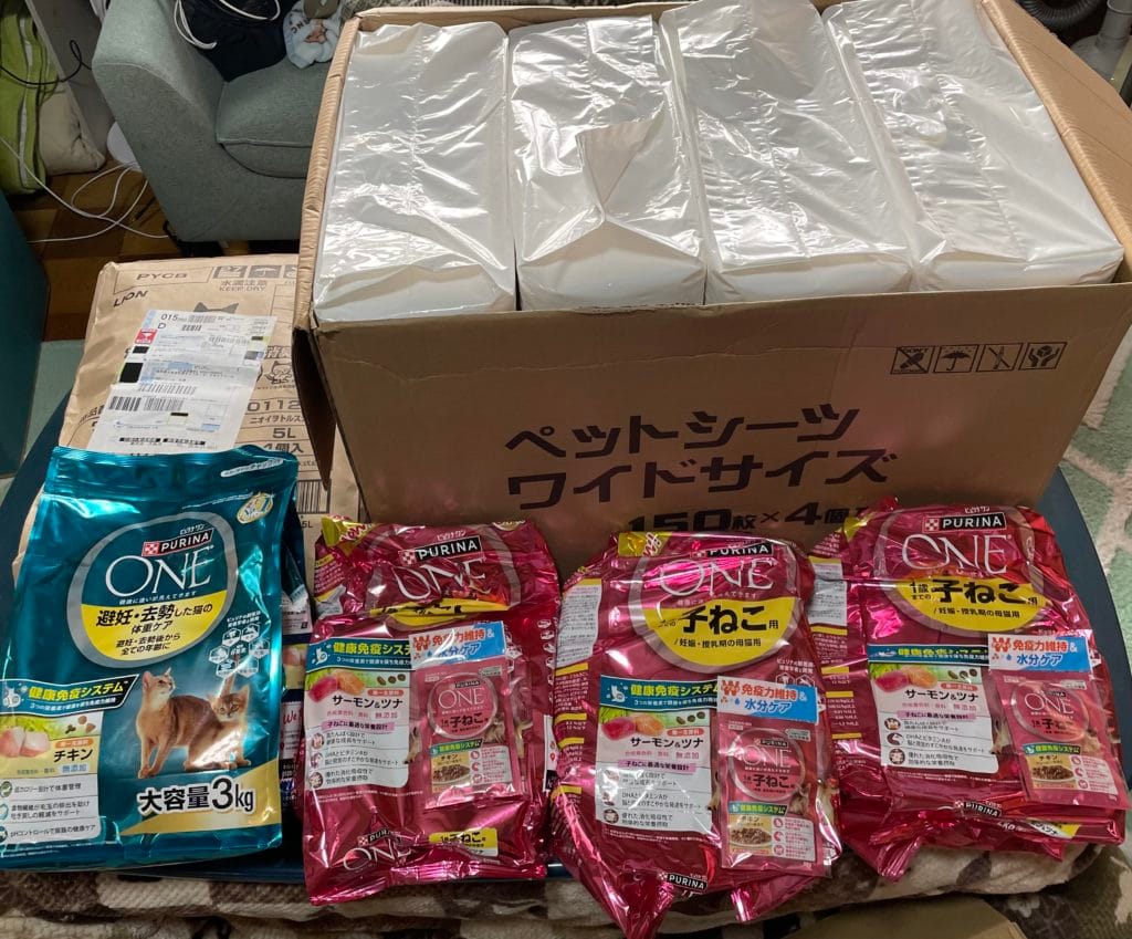 地域猫　TNR 福岡県　大牟田市　保護猫　仔猫　荒尾市　みやま市　柳川市　南関町　長洲町　玉名郡　食事　フード　ご支援　ご寄付