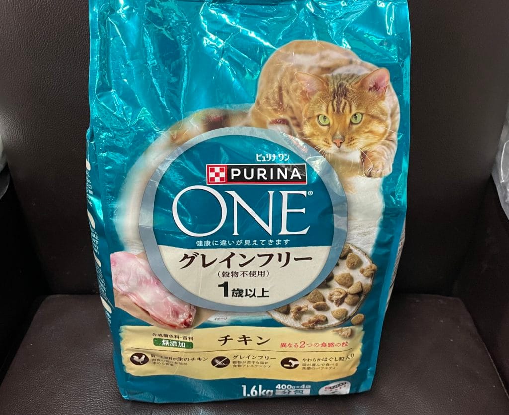 地域猫 TNR 福岡県 大牟田市 保護猫 仔猫 荒尾市 みやま市 柳川市 南関町 長洲町 玉名郡 食事 フード ご支援 ご寄付